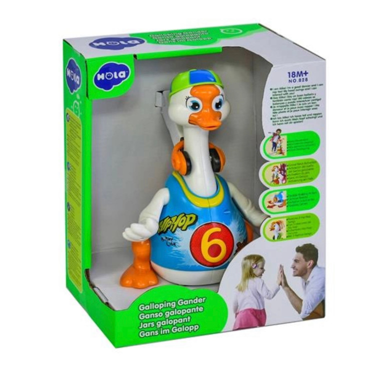 اردک هولاتویز ۸۲۸