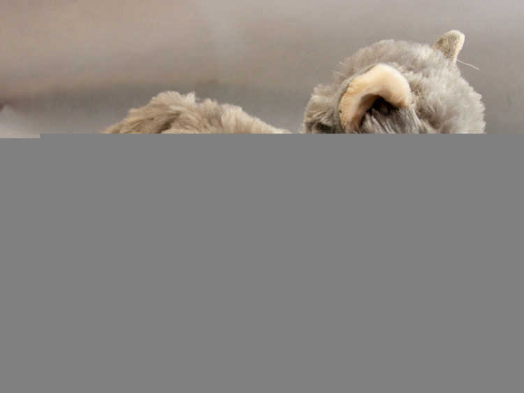 عروسک گربه با کیت صدای گربه سایز ۲۵ سانتیمتر